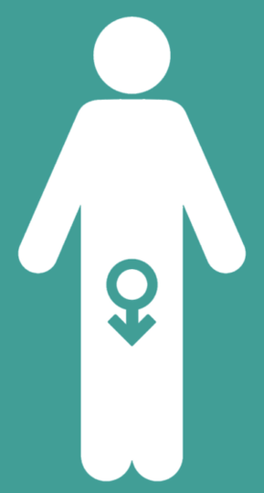 Men's absence and an upgrade of members