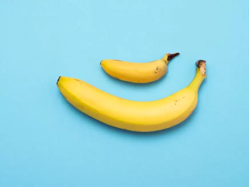 the penis is small and grows with splendor on the example of a banana